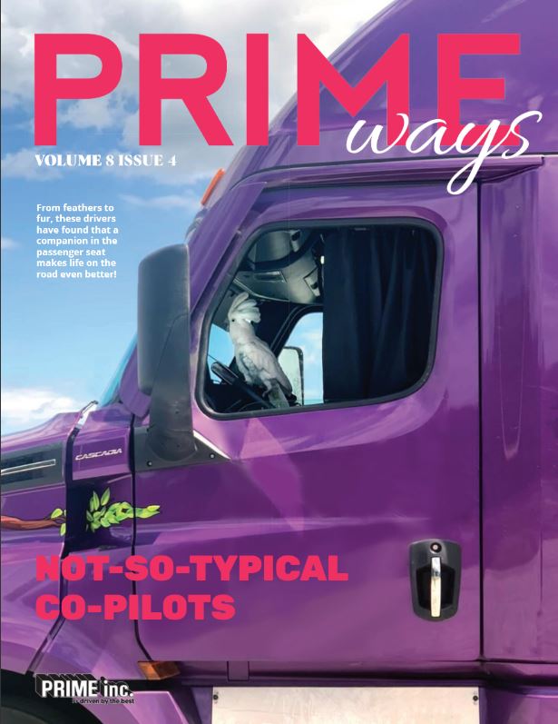Volume 8 Issue 4 of Prime Ways Magazine Cover